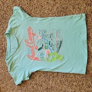 Odin & Ivy teal Grand canyon graphic tee